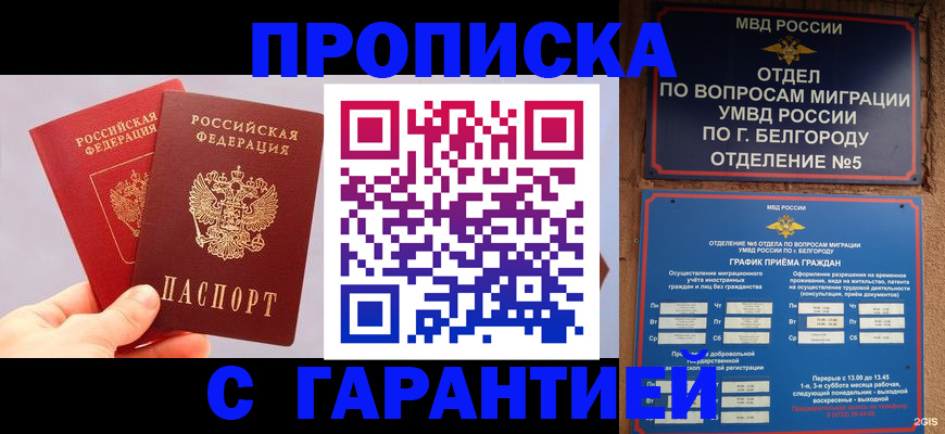 прописка 2025 в Завитинске